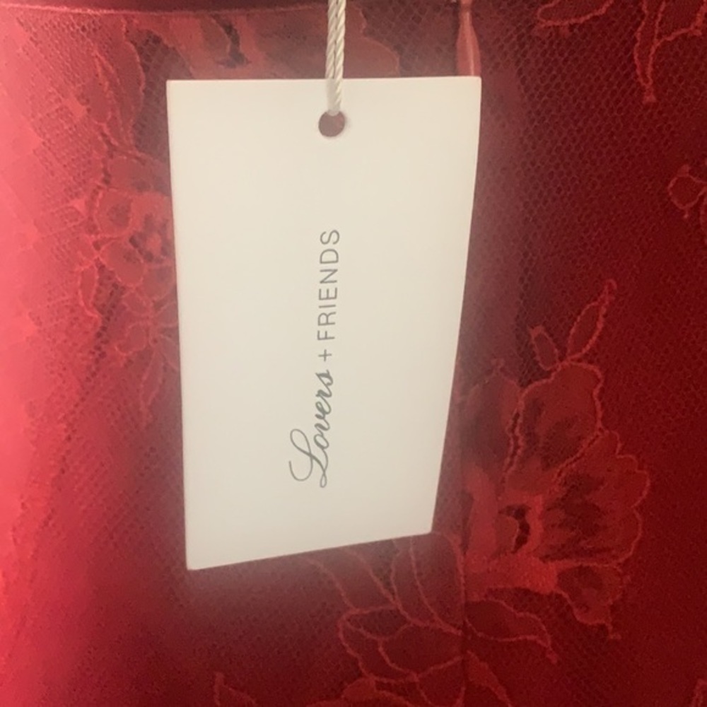 Lovers + Friends Red Lace Mini Dress - Picture 8 of 13
